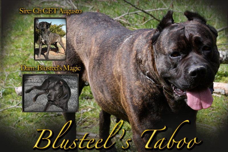 taboo